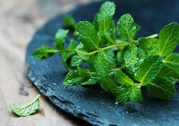 liście mięty